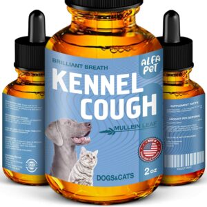 Why is My Dog Coughing? 6 Reasons Why Dogs Cough and What To Do