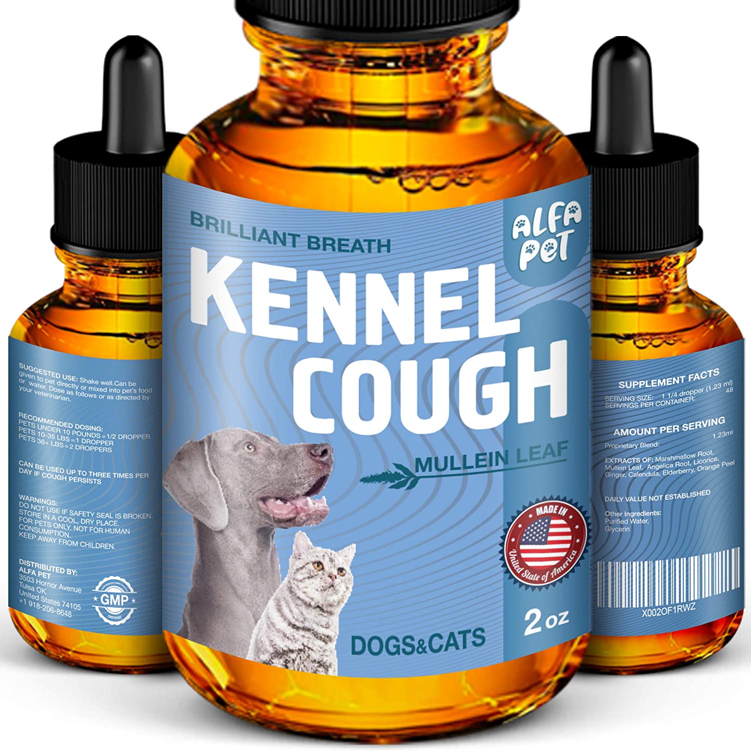 Why is My Dog Coughing? 6 Common Reasons Why Dogs Cough