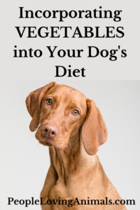 Incorporating Vegetables into Your Dog's Diet
