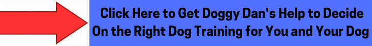 dog behavior training
