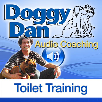 Toilet Training Podcast