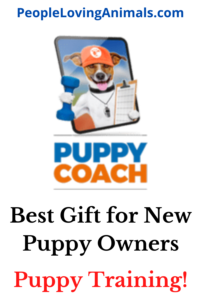 best gift for new puppy owners