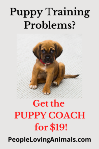 puppy training problems