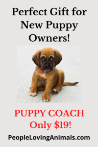 Perfect Gift for New Puppy Owners!