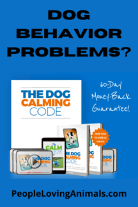 Dog Behavior Problems