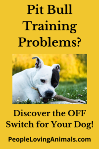 pit bull training problems
