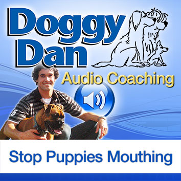 Puppy Biting Podcast