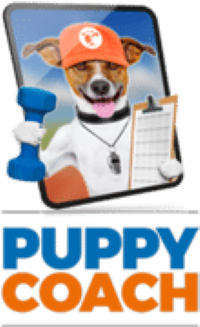 best puppy training program