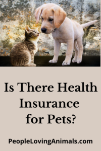 is there health insurance for pets?