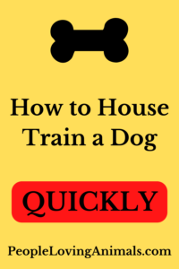 how to house train a dog quickly