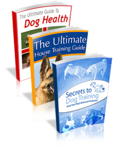 The Dog Training Mastery Multimedia Package Review