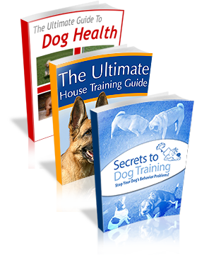 Dog Training Mastery Multimedia Package: Best All-in-One Resource for New Dog Owners
