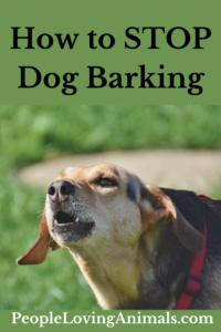 how to stop dog barking