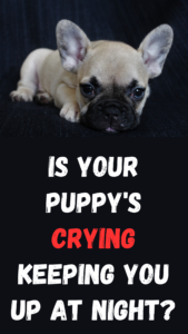 is your puppy's crying keeping you up at night?