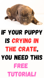 if your puppy is crying in the crate, you need this free puppy crate training tutorial