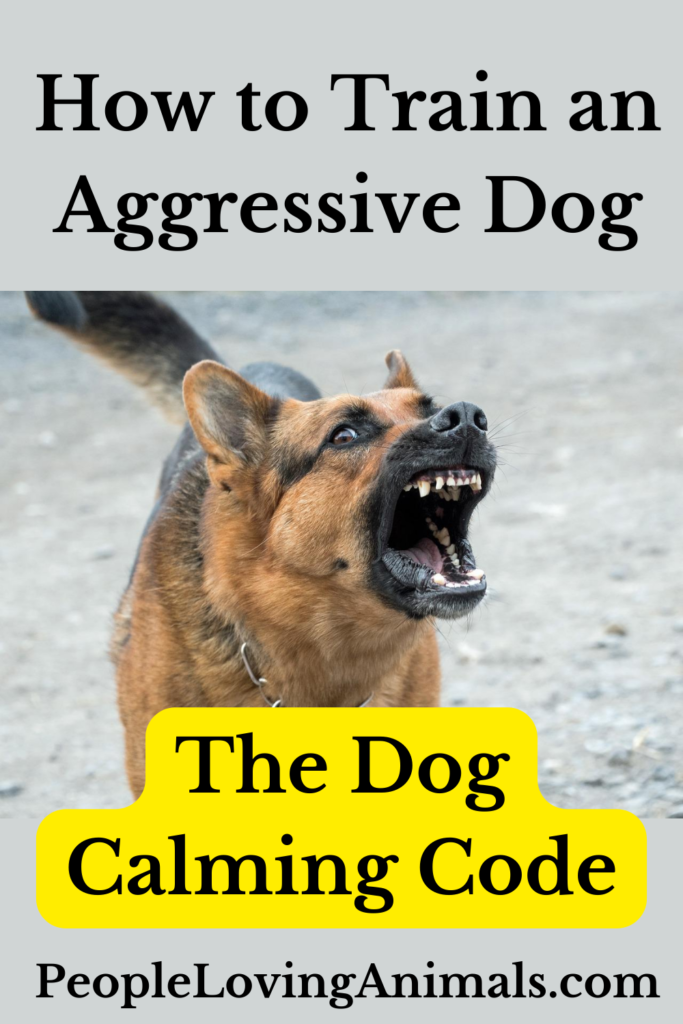 How to Train an Aggressive Dog Get The Dog Calming Code
