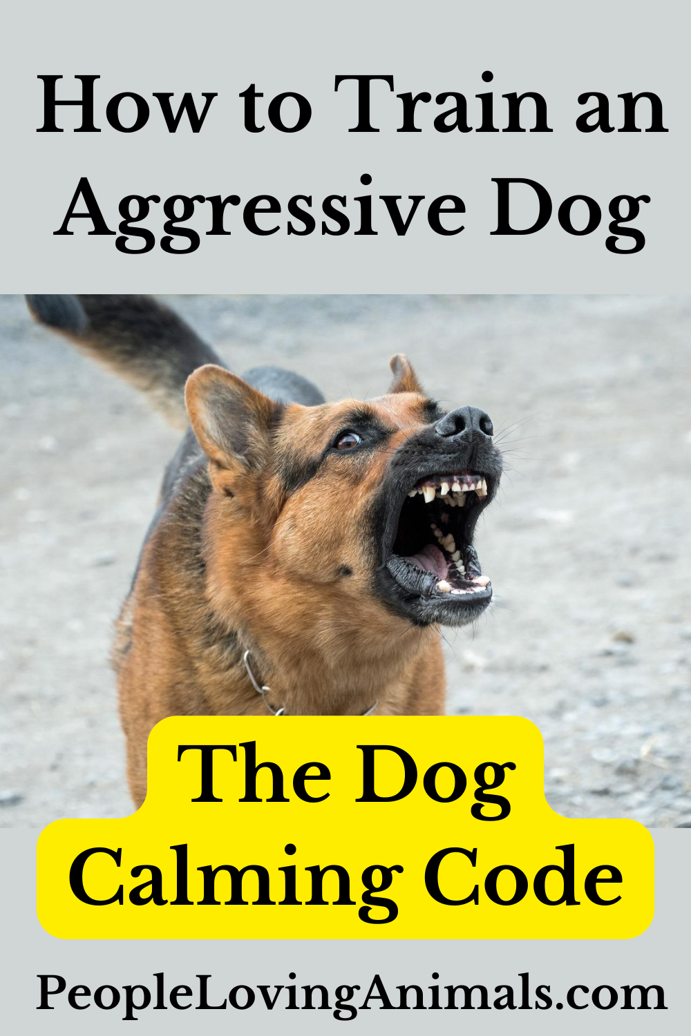 How To Train An Aggressive Dog - Get The Dog Calming Code