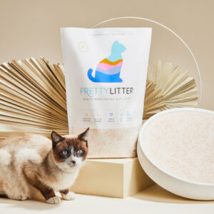 What's in Kitty Litter?