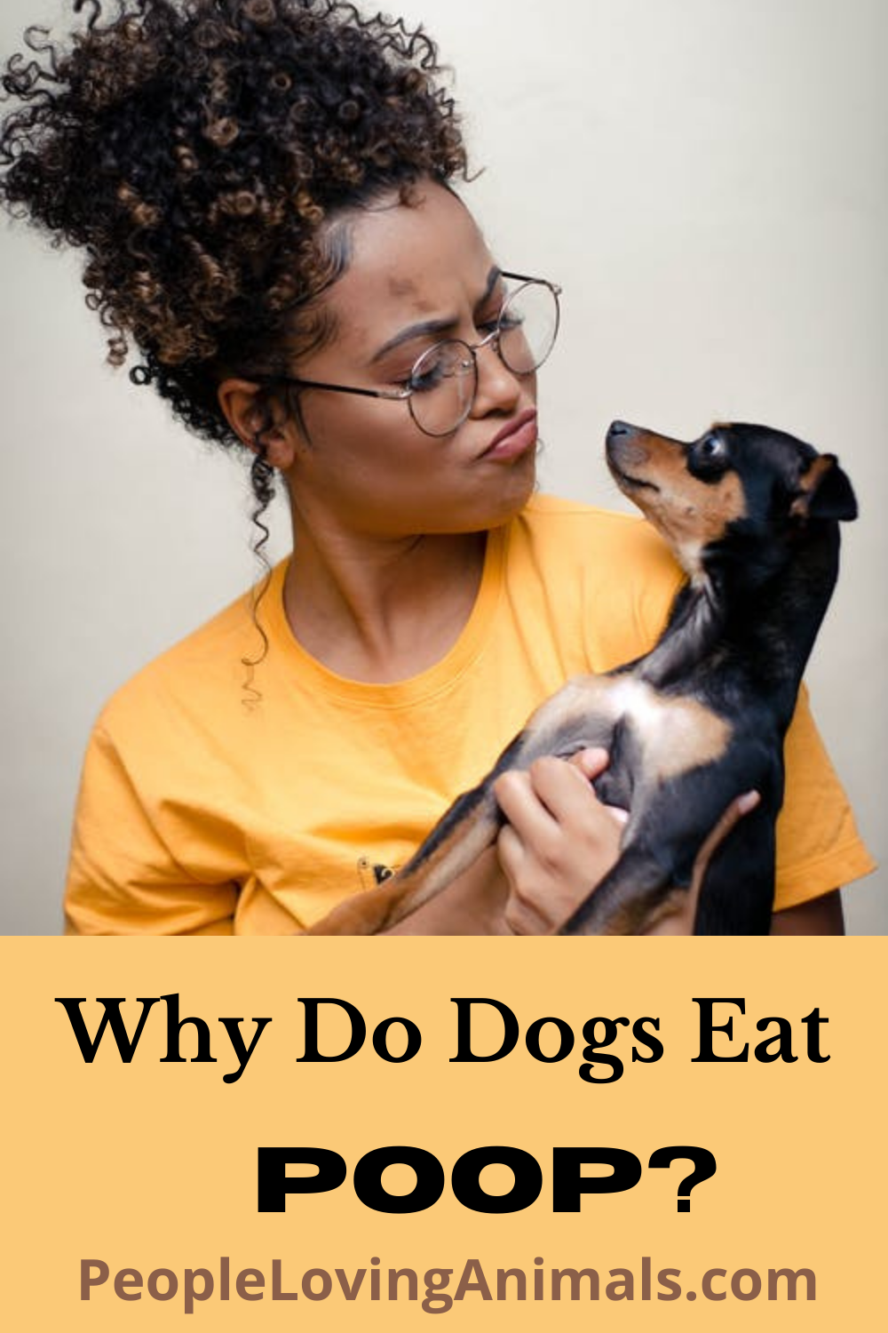 Why Do Dogs Eat Poop? 3 Reasons Why and 6 Ways to Stop It