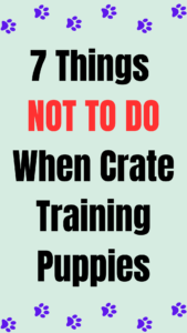 puppy crate training mistakes