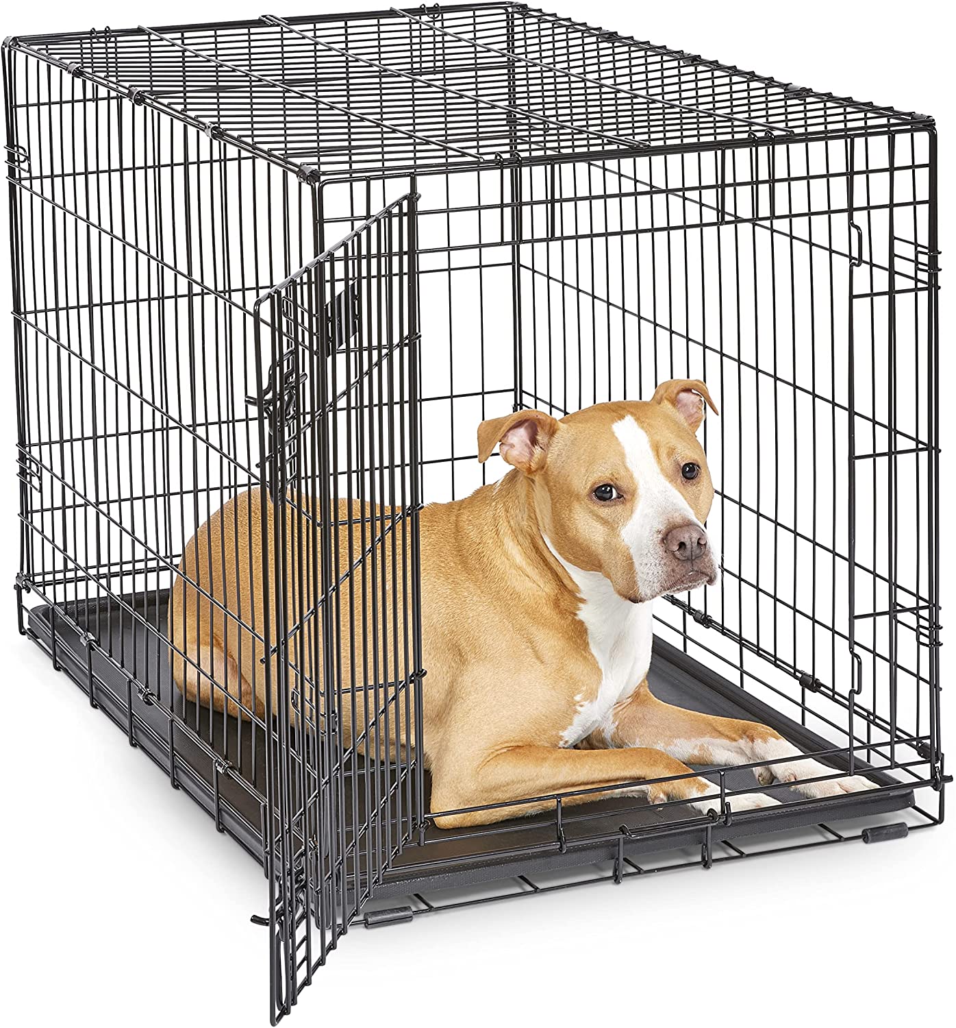 Crate Training Puppies Complete StepbyStep Instructions