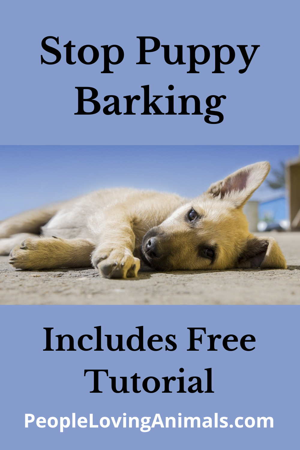 How to Stop a Puppy from Barking WITHOUT Being Mean!