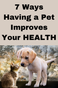 7 ways having a pet improves your health