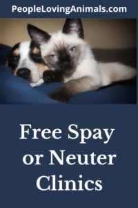 free spay or neuter clinics