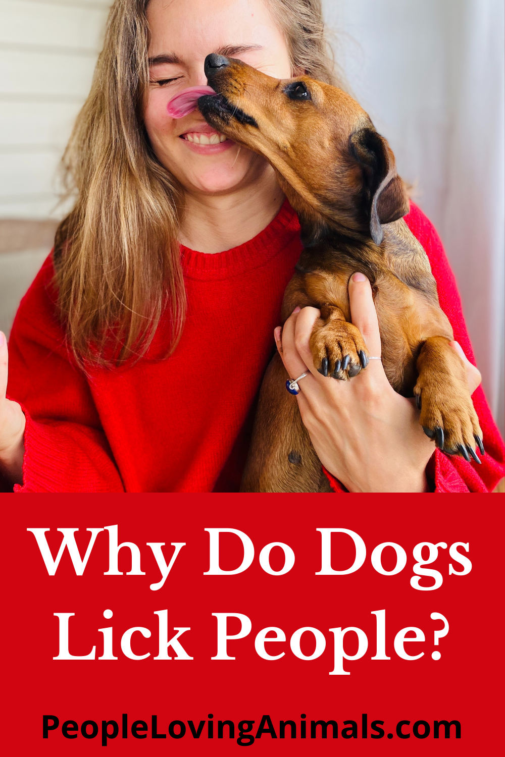 why-do-dogs-lick-people-9-common-reasons-how-to-stop-it