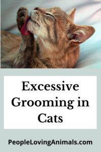 excessive grooming in cats