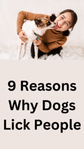 9 reasons why dogs lick people