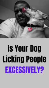 dog licking excessively
