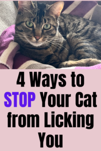 how to stop your cat from licking you