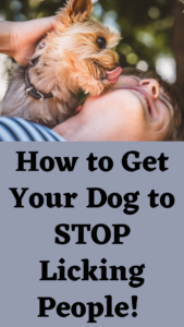 how to stop dog licking everybody