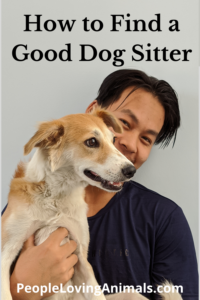 how to find a good dog sitter