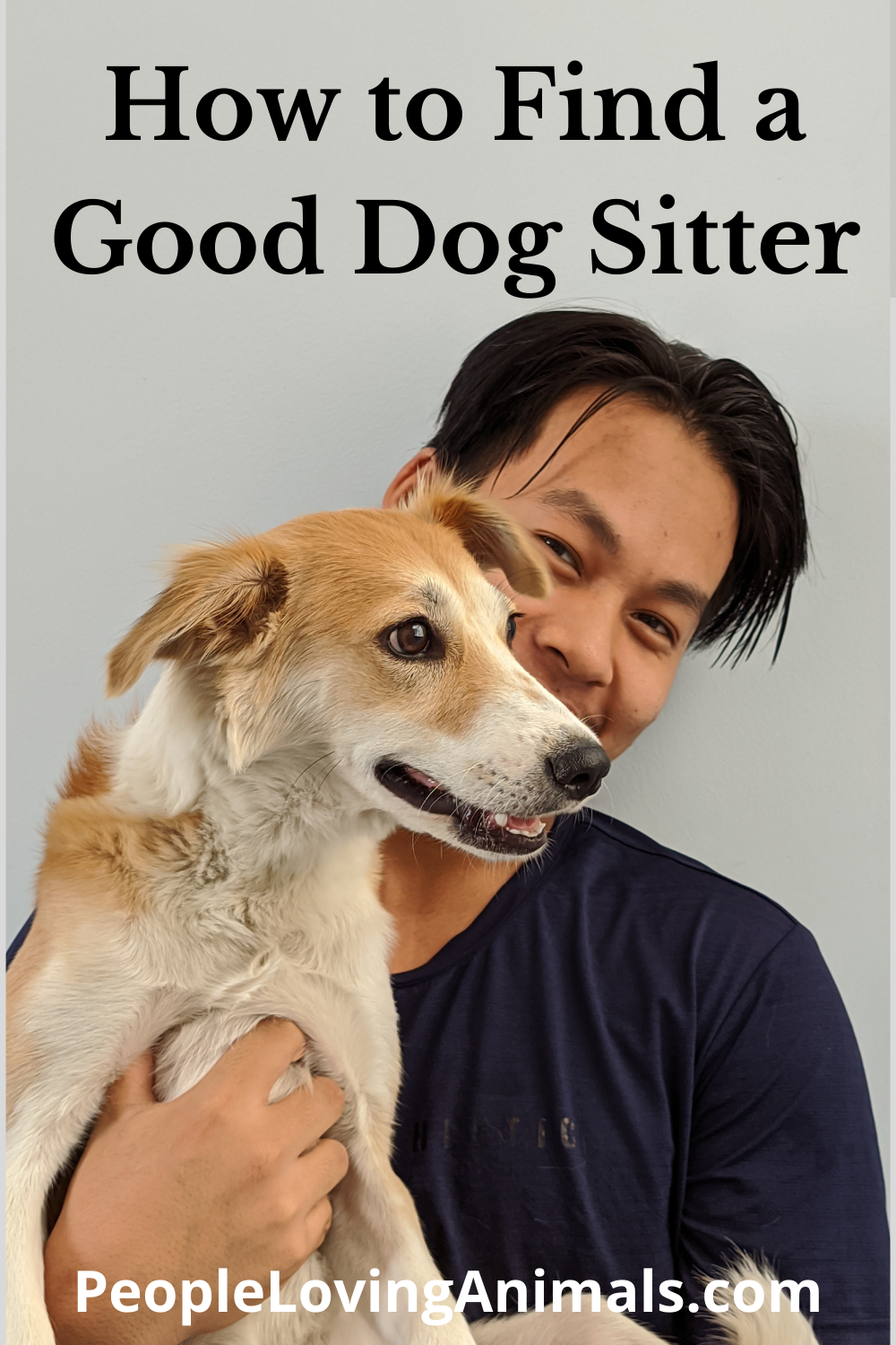 How to Find a Good Dog Sitter Get One Your Dog Will Love!