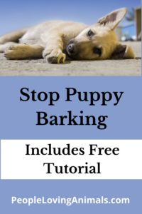 stop puppy barkiing