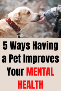 5 ways having a pet improves your mental health