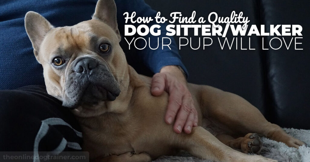 How to Find a Good Dog Sitter