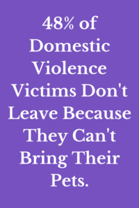 domestic violence