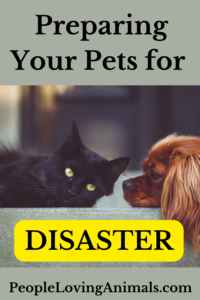 disaster preparation for pets