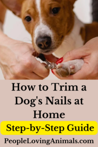 how to trim a dog's nails at home