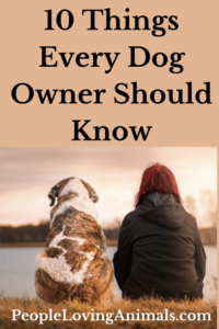 10 things every dog owner should know