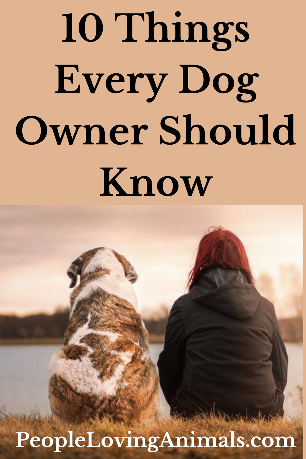 10 Things Every Dog Lover Should Know - You'll Love These!