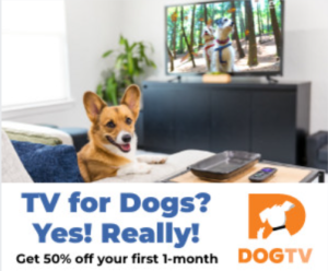 dog tv