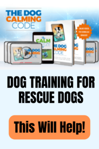 dog training for rescue dogs