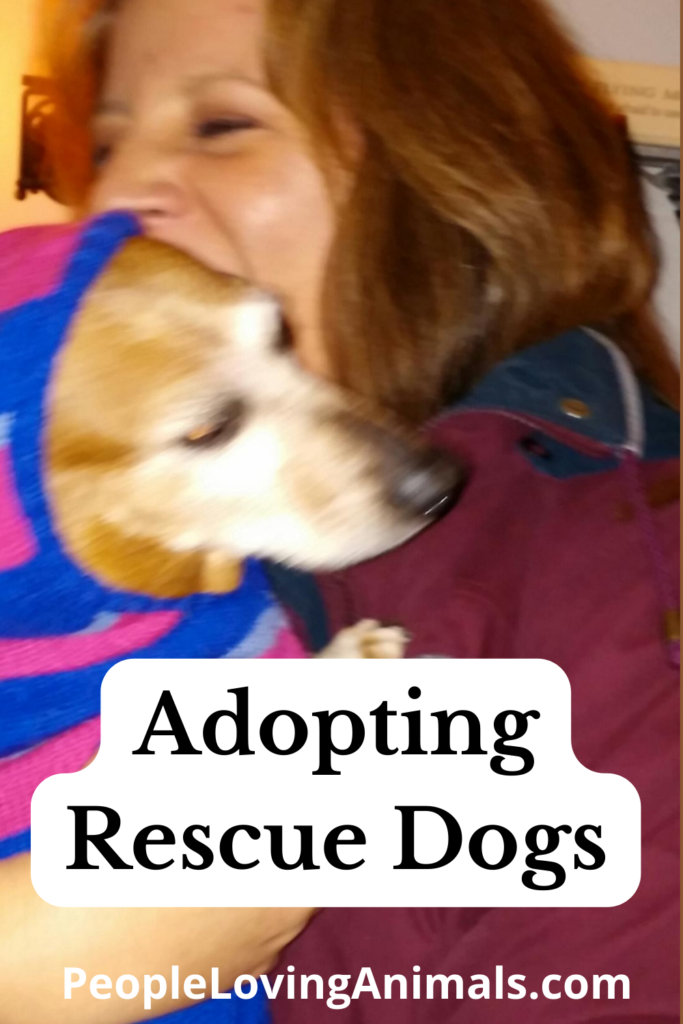 Adopting Rescue Dogs - How to Choose and Prepare