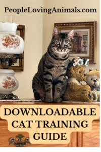 cat training ebook