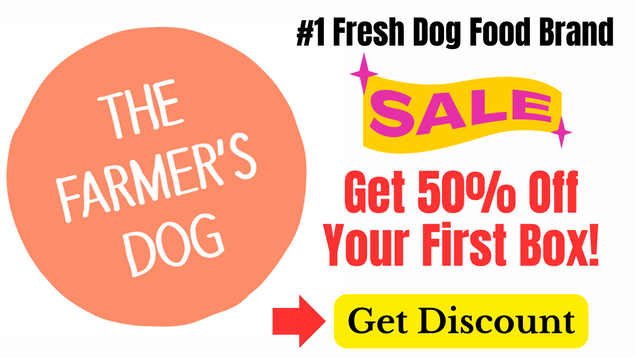 fresh dog food delivered