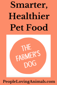 The Farmer's Dog Review